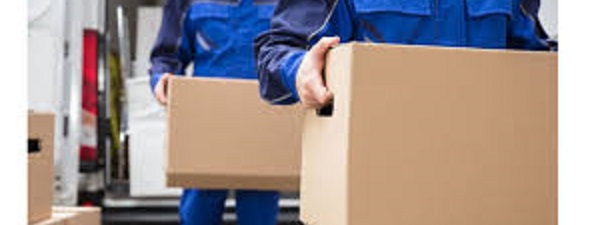 Traslado y organización de archivos